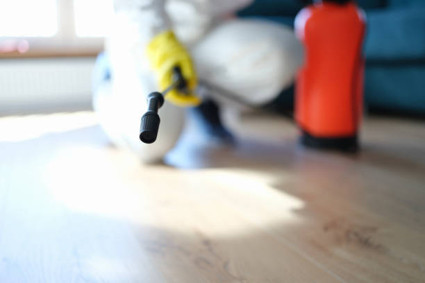 Best Residential Mold Inspection & Testing  in Lake Murray Of Richland, SC